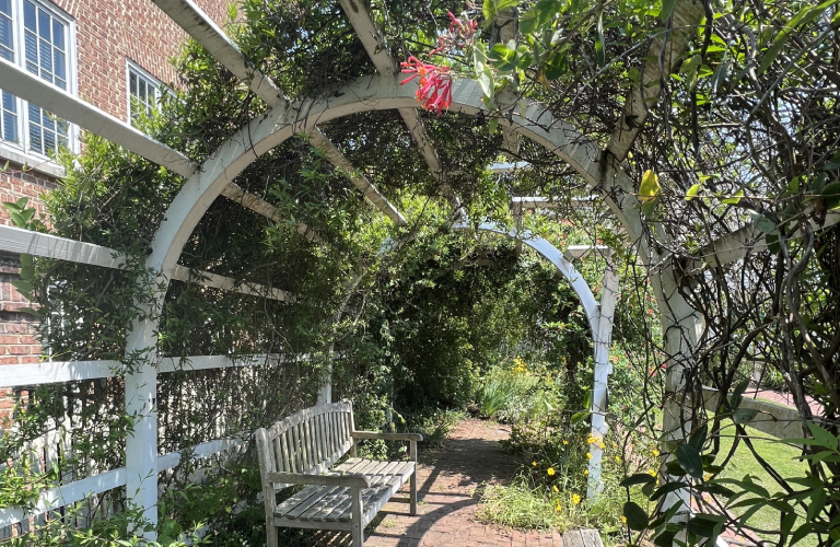 A bench sitting under an arbor in the middle of a garden.