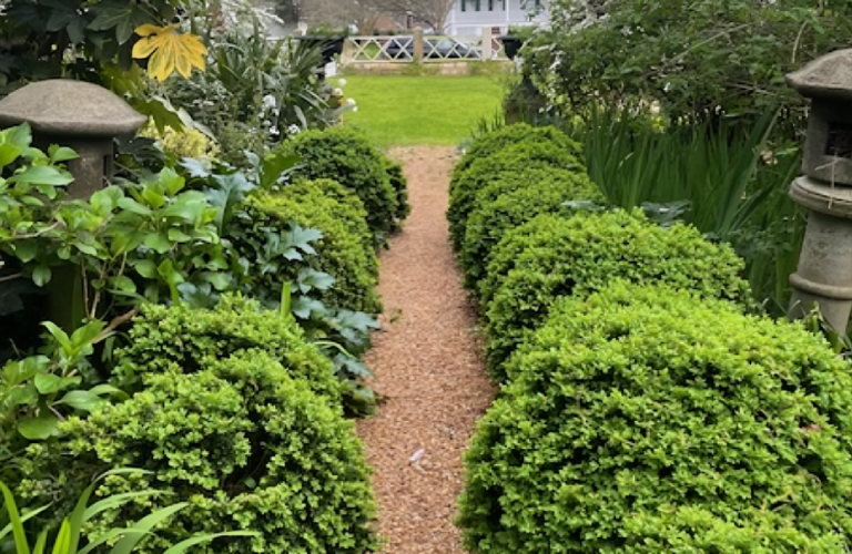 A garden path with bushes and trees in the background.