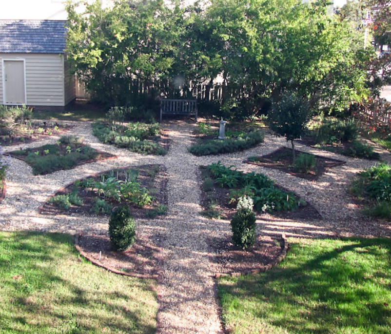 A garden with many plants and trees